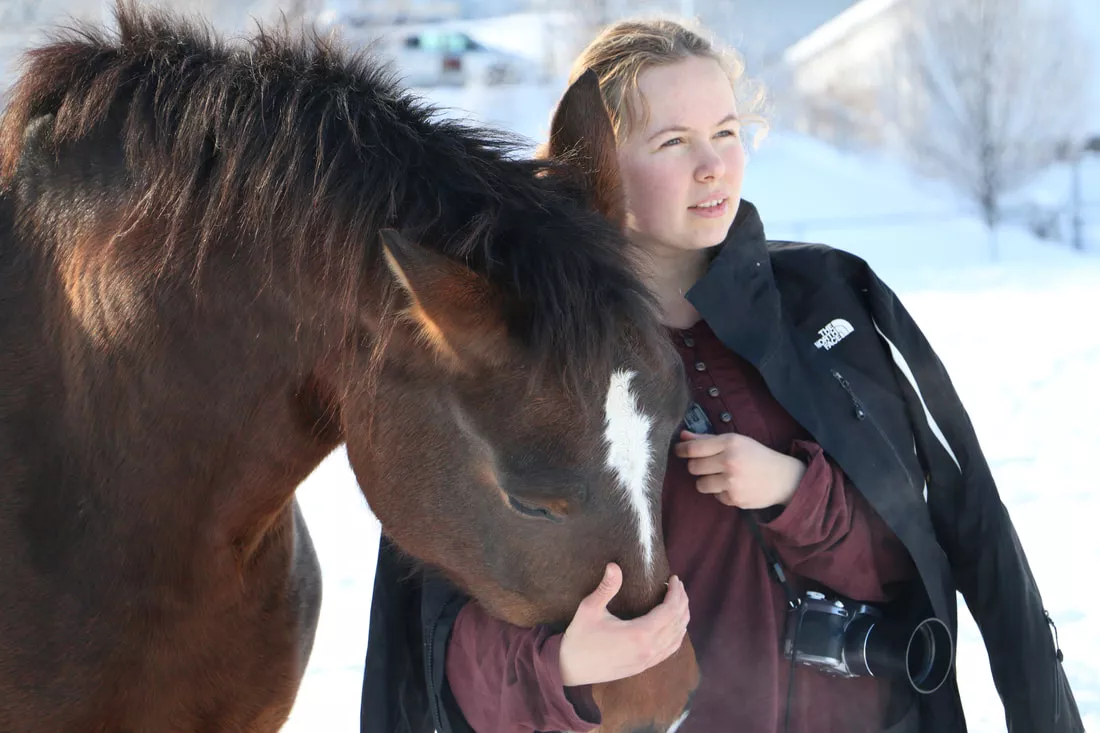 braunes Pferd mit Frau