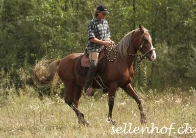 Reiten in der Natur