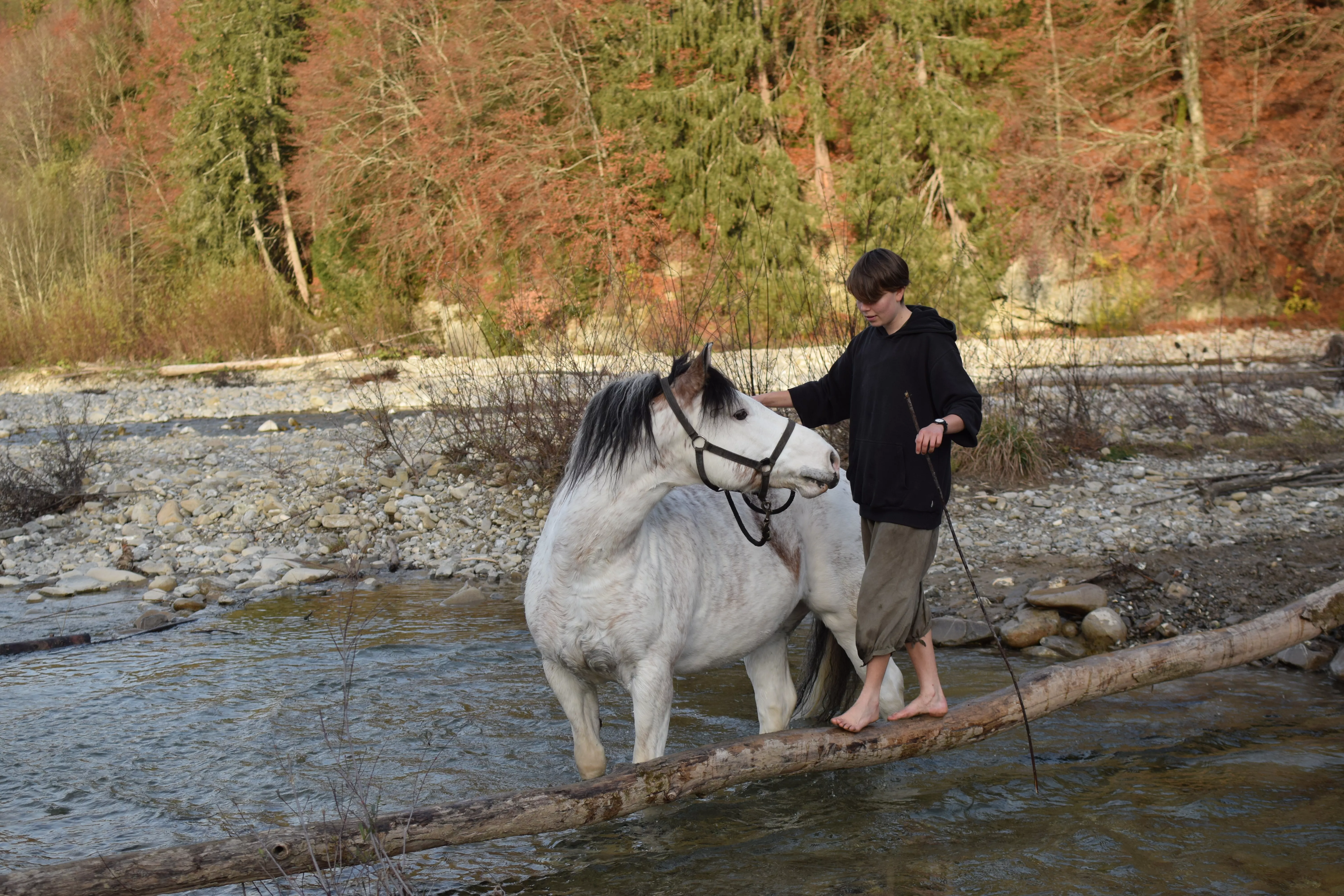Demian mit Bay Khan