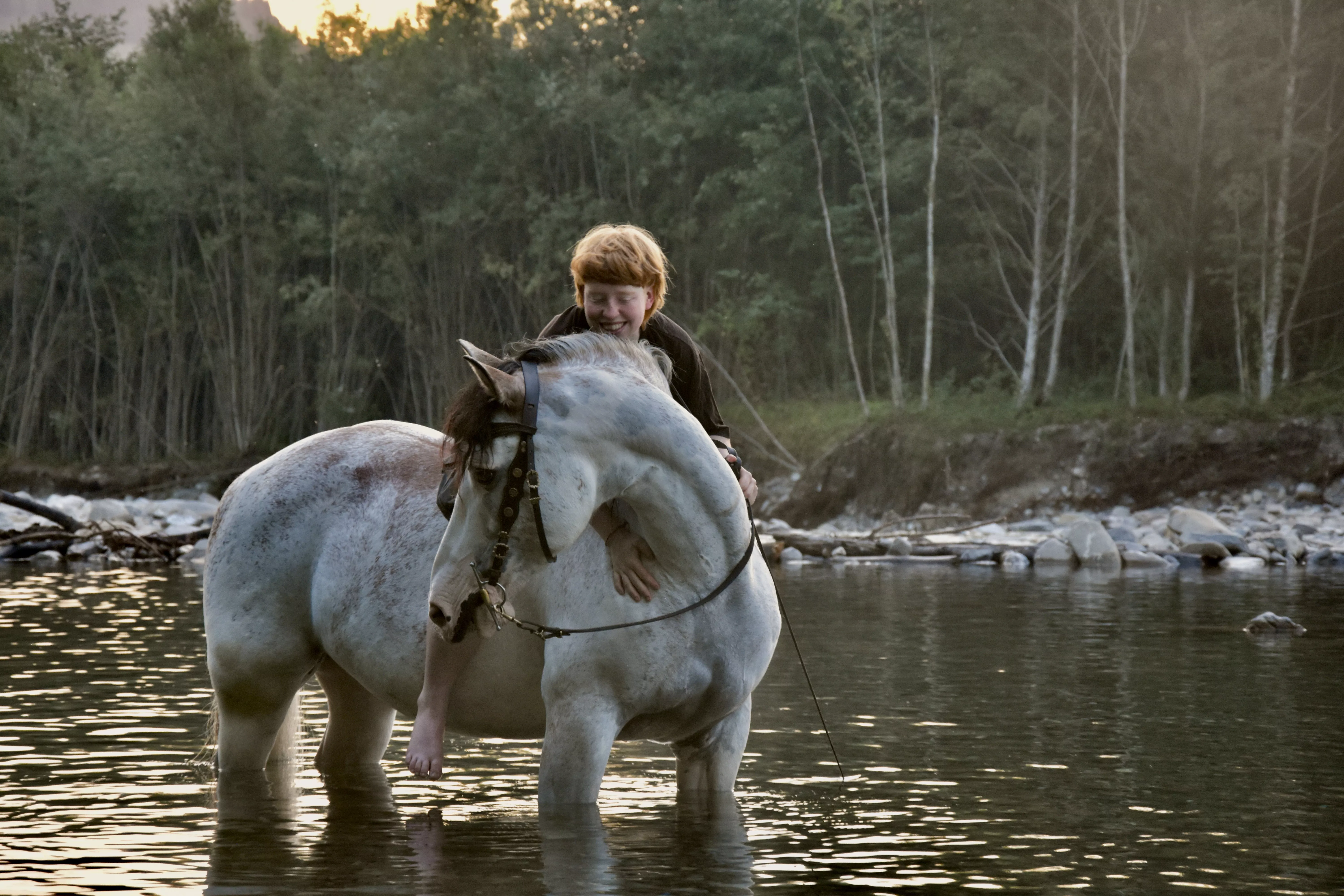 Pferd im Wasser mit Reiter