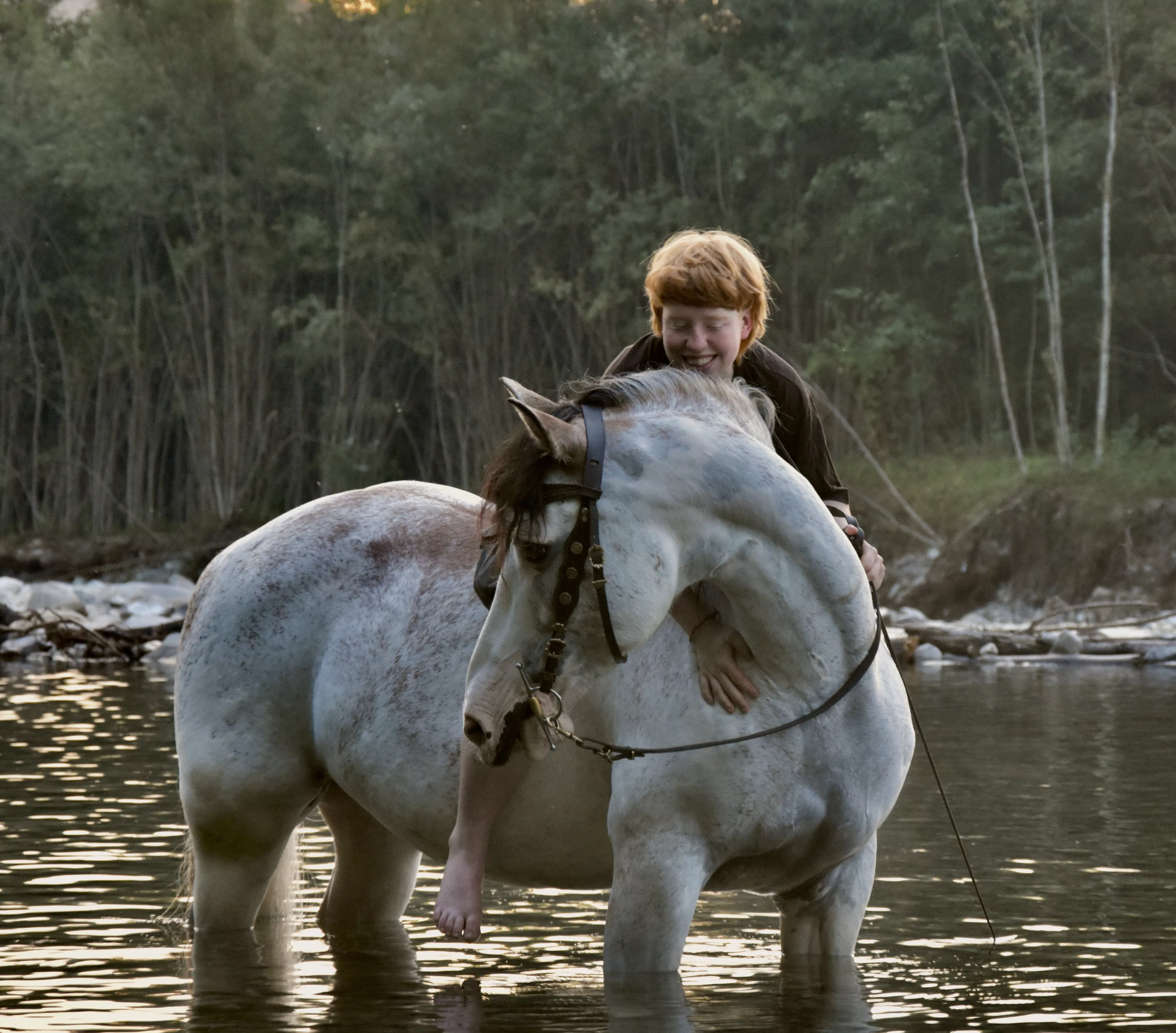 Pferd im Wasser mit Reiter