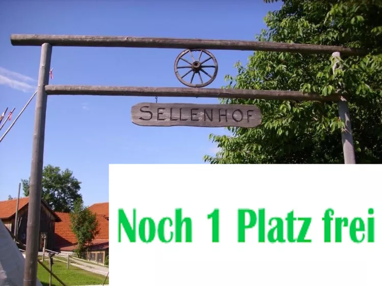 Frühlings-Reitwoche 3: 20.April - 24.April / Mo-Fr CHF 680.- Frühlings-Reitwoche 3: 20.April - 24.April / Mo-Fr CHF 680.-