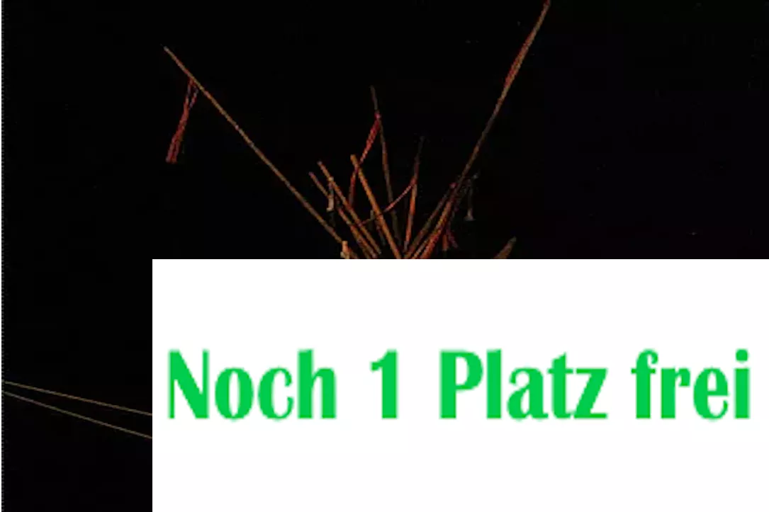 Herbst-Reitwoche 4: 13.Oktober - 17.Oktober / Mo-Fr CHF 680.- Herbst-Reitwoche 4: 13.Oktober - 17.Oktober / Mo-Fr CHF 680.-