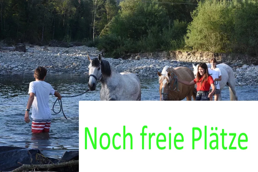 Sommer-Reitwoche 7 Pferd pur: 16.August - 21.August / So-Fr CHF 680.- Sommer-Reitwoche 7 Pferd pur: 16.August - 21.August / So-Fr CHF 680.-