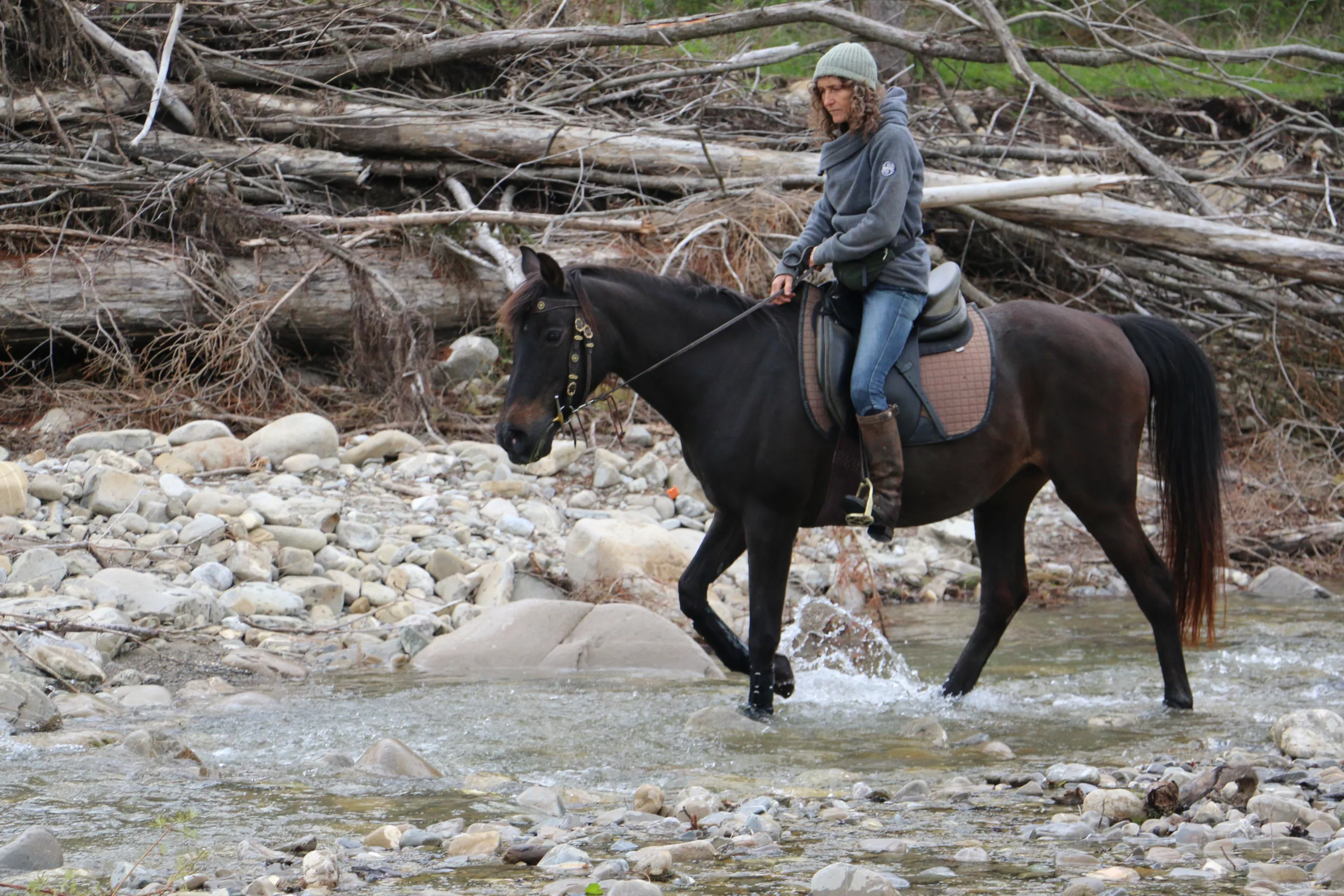 Reiter mit Pferd